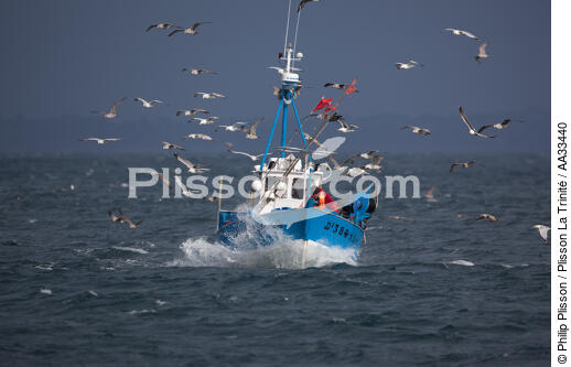 Retour de pêche à Douarnenez - © Philip Plisson / Plisson La Trinité / AA33440 - Nos reportages photos - Douarnenez [Baie de]