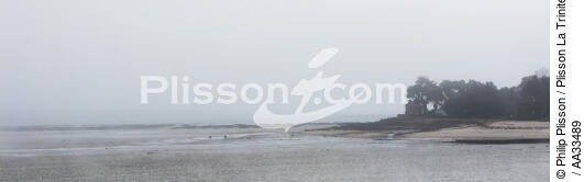Brume sur la Trinité sur mer - © Philip Plisson / Plisson La Trinité / AA33489 - Nos reportages photos - Marée
