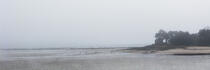 Fog on Trinité sur mer © Philip Plisson / Plisson La Trinité / AA33489 - Photo Galleries - Low tide
