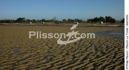 La Bernerie en Retz - © Philip Plisson / Plisson La Trinité / AA33493 - Photo Galleries - Sand
