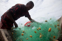 Sainte-Marie island © Philip Plisson / Plisson La Trinité / AA33817 - Photo Galleries - Fishing nets
