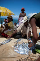 Senne sur la plage de Moroantsetra © Philip Plisson / Plisson La Trinité / AA33878 - Nos reportages photos - Pêche à la senne