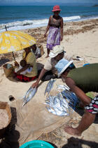 Senne sur la plage de Moroantsetra © Philip Plisson / Plisson La Trinité / AA33879 - Nos reportages photos - Pêche à la senne