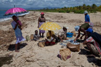 Senne sur la plage de Moroantsetra © Philip Plisson / Plisson La Trinité / AA33881 - Nos reportages photos - Pêche