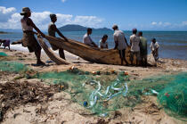 Senne sur la plage de Moroantsetra © Philip Plisson / Plisson La Trinité / AA33884 - Nos reportages photos - Filet de pêche