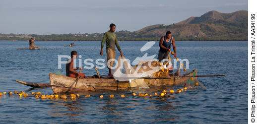 Nosy-Be - © Philip Plisson / Plisson La Trinité / AA34196 - Nos reportages photos - Pêche côtière