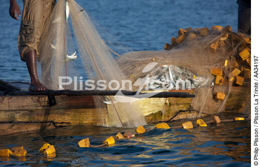 Nosy-Be - © Philip Plisson / Plisson La Trinité / AA34197 - Nos reportages photos - Pêche côtière