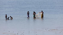 Nosy Be, pêche a la crevette. © Philip Plisson / Plisson La Trinité / AA34356 - Nos reportages photos - Ile [Madagascar]