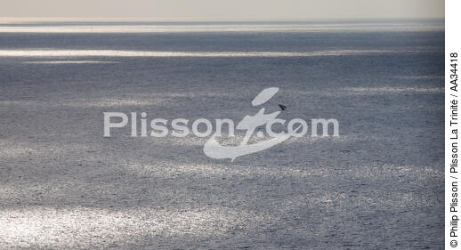 Boutre Malgache - © Philip Plisson / Plisson La Trinité / AA34418 - Nos reportages photos - Boutre