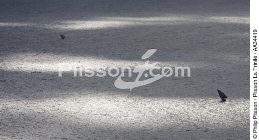 Boutre Malgache - © Philip Plisson / Plisson La Trinité / AA34419 - Nos reportages photos - Vieux gréement