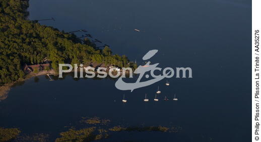 L'étang du Puits à Cerdon - © Philip Plisson / Plisson La Trinité / AA35276 - Nos reportages photos - Ville (45)