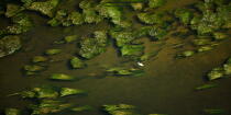 Le Loiret vue du ciel © Philip Plisson / Plisson La Trinité / AA35314 - Nos reportages photos - Hydrologie