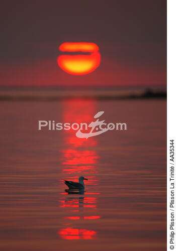 coucher de soleil - © Philip Plisson / Plisson La Trinité / AA35344 - Nos reportages photos - Soleil