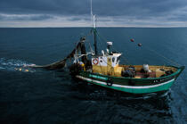Pêche en baie de Quiberon © Philip Plisson / Plisson La Trinité / AA35414 - Nos reportages photos - Pêche