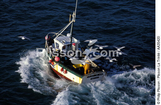 Pêche côtière - © Philip Plisson / Plisson La Trinité / AA35420 - Nos reportages photos - Pêche