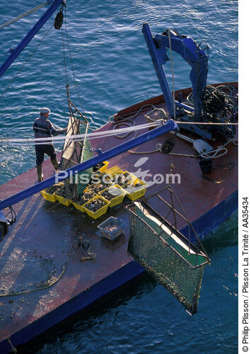 Ponton ostréicole - © Philip Plisson / Plisson La Trinité / AA35434 - Nos reportages photos - Pêche