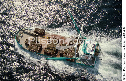Pontoon oyster - © Philip Plisson / Plisson La Trinité / AA35436 - Photo Galleries - Lighter used by oyster farmers