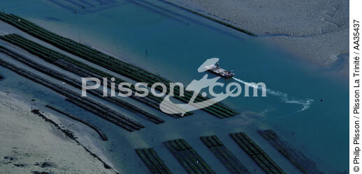 Oyster beds in the Côtes d'Armor - © Philip Plisson / Plisson La Trinité / AA35437 - Photo Galleries - Oyster farming