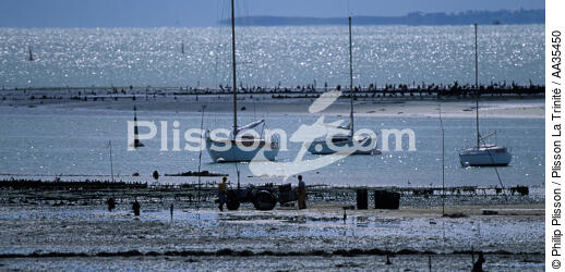 Their oyster park at low tide - © Philip Plisson / Plisson La Trinité / AA35450 - Photo Galleries - People