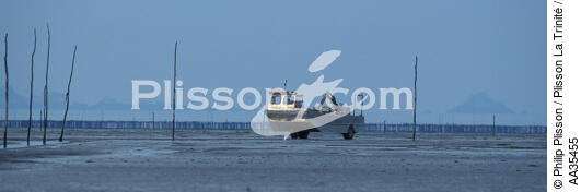 Pontoon oyster bay of Mont Saint Michel - © Philip Plisson / Plisson La Trinité / AA35455 - Photo Galleries - Fishing
