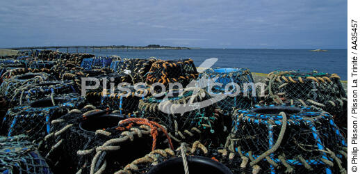 Casiers sur le port de Roscoff - © Philip Plisson / Plisson La Trinité / AA35457 - Nos reportages photos - Finistère