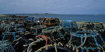 Lockers on the port of Roscoff © Philip Plisson / Plisson La Trinité / AA35457 - Photo Galleries - Lobster pot