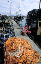 The port of Roscoff © Philip Plisson / Plisson La Trinité / AA35458 - Photo Galleries - Lobster pot