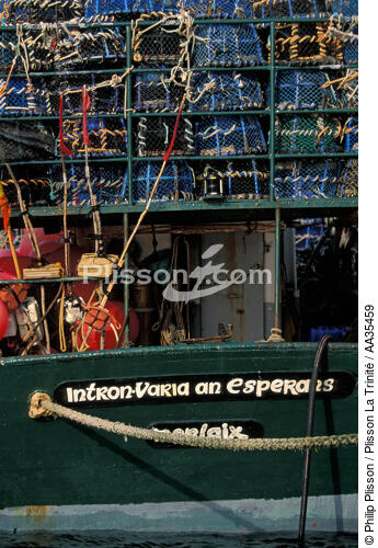 Bateau de pêche dans le port de Roscoff - © Philip Plisson / Plisson La Trinité / AA35459 - Nos reportages photos - Vertical