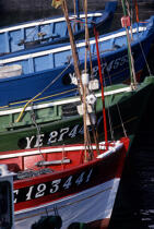 Bateaux de pêche sur l'île d'Yeu © Philip Plisson / Plisson La Trinité / AA35475 - Nos reportages photos - Immatriculation