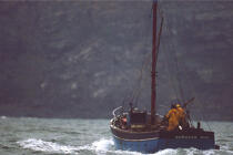 Inshore fishing © Philip Plisson / Plisson La Trinité / AA35477 - Photo Galleries - Fishing vessel