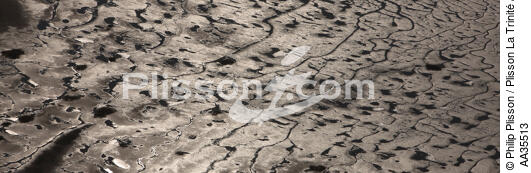 Mudflat in the Gulf of Morbihan - © Philip Plisson / Plisson La Trinité / AA35513 - Photo Galleries - Light
