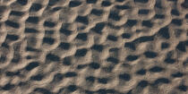 Dessins sur le sable © Philip Plisson / Plisson La Trinité / AA35516 - Nos reportages photos - Géomorphie