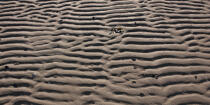 Dessins sur le sable © Philip Plisson / Plisson La Trinité / AA35518 - Nos reportages photos - Géomorphie