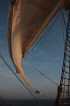 Aboard the Belem © Philip Plisson / Plisson La Trinité / AA35521 - Photo Galleries - Vertical