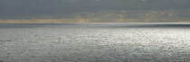 Lumière sur la mer d'iroise © Philip Plisson / Plisson La Trinité / AA35525 - Nos reportages photos - Mer