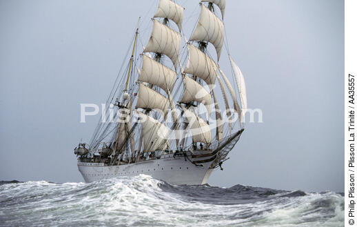 Le Trois-Mâts Barque Statsraad Lehmkuhl - © Philip Plisson / Plisson La Trinité / AA35557 - Nos reportages photos - Trois-mâts barque