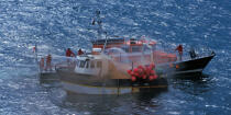 Incendie sur un bateau de pêche près de l'Aber Wrac'h © Philip Plisson / Plisson La Trinité / AA35559 - Nos reportages photos - Sauvetage en mer