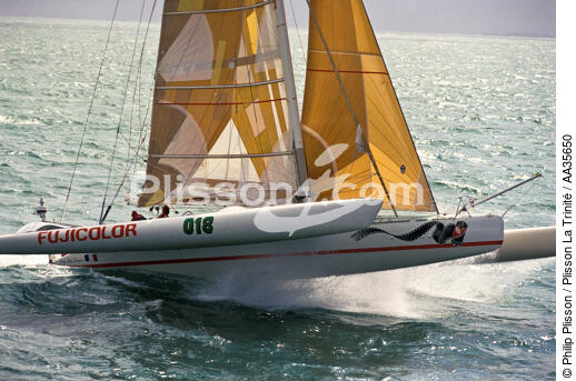 Fujicolor - © Philip Plisson / Plisson La Trinité / AA35650 - Photo Galleries - Sailing Race