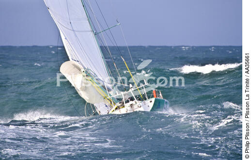 LG Group - © Philip Plisson / Plisson La Trinité / AA35661 - Photo Galleries - Maxi-monohull Racing Yacht