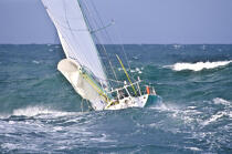LG Group © Philip Plisson / Plisson La Trinité / AA35661 - Photo Galleries - Maxi-monohull Racing Yacht