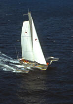 Paul Ricard trimaran © Philip Plisson / Plisson La Trinité / AA35694 - Photo Galleries - Sailing Race