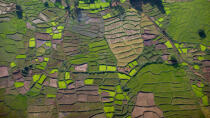 Madagascar © Philip Plisson / Plisson La Trinité / AA35958 - Photo Galleries - Aerial shot