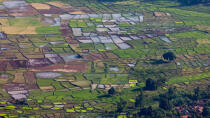 Madagascar © Philip Plisson / Plisson La Trinité / AA35969 - Photo Galleries - Aerial shot