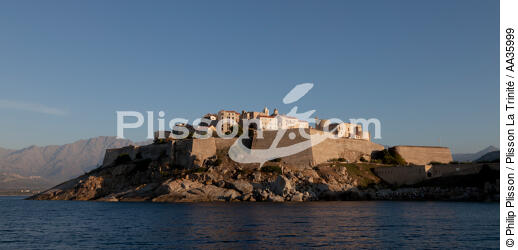 Calvi Port - © Philip Plisson / Plisson La Trinité / AA35999 - Photo Galleries - From Calvi to Pietranera