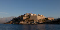 Calvi Port © Philip Plisson / Plisson La Trinité / AA35999 - Photo Galleries - Town [Corsica]
