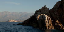 Calvi Port © Philip Plisson / Plisson La Trinité / AA36004 - Photo Galleries - Town [Corsica]