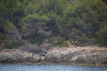 Désert des Agriates, Corsica © Philip Plisson / Plisson La Trinité / AA36035 - Photo Galleries - From Calvi to Pietranera