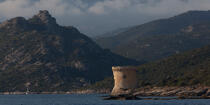 © Philip Plisson / Plisson La Trinité / AA36060 - Photo Galleries - Town [Corsica]