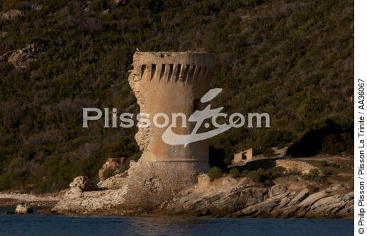 Saint-Florent en Corse - © Philip Plisson / Plisson La Trinité / AA36067 - Nos reportages photos - Saint-Florent