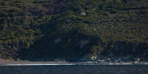 Sur le Cap Corse © Philip Plisson / Plisson La Trinité / AA36079 - Nos reportages photos - Cap Corse